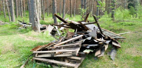 Debris Removal Service in Lake Mary