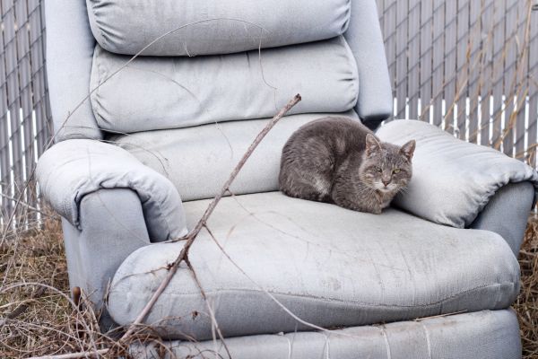 Recliner Disposal in Lake Mary